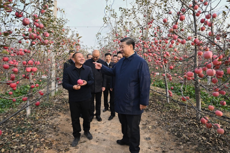 12_副本.jpg