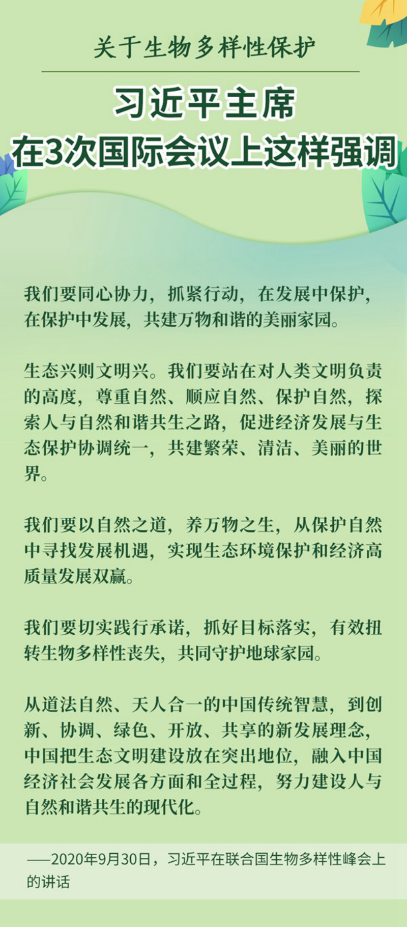 11_副本.png