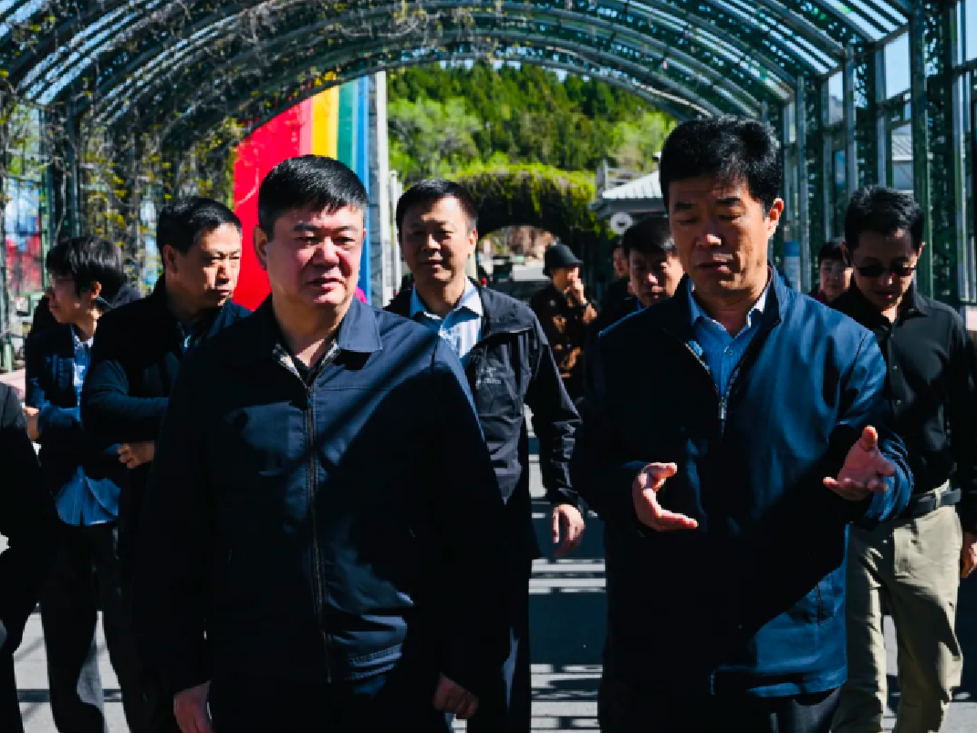 图片16_副本.png