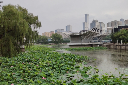 人工湖.jpg