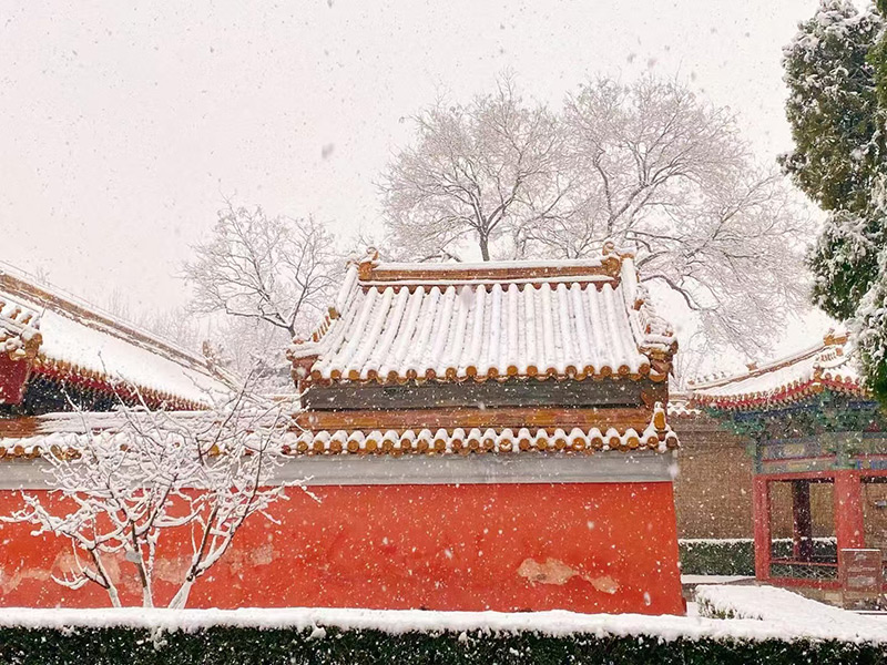 牺牲所雪景.jpg