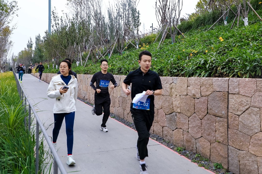 2025110311311762140676322006251.jpg 7_副本.jpg