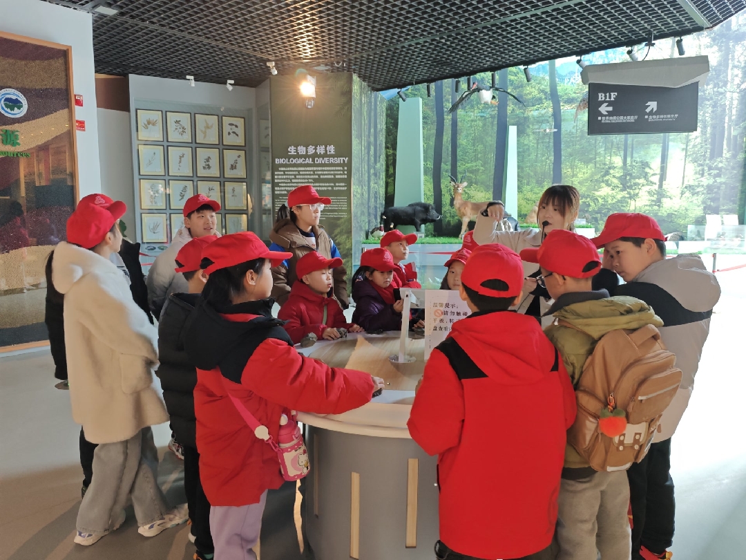 2026020315431770104630632037109.jpg 16_副本.jpg