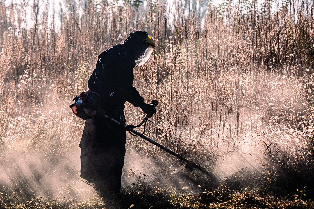 除草  刘立国 15910220012_副本.jpg