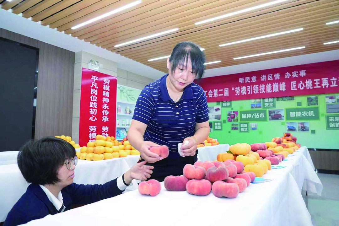 2026082510371787625473694010915.jpg 111_副本.jpg